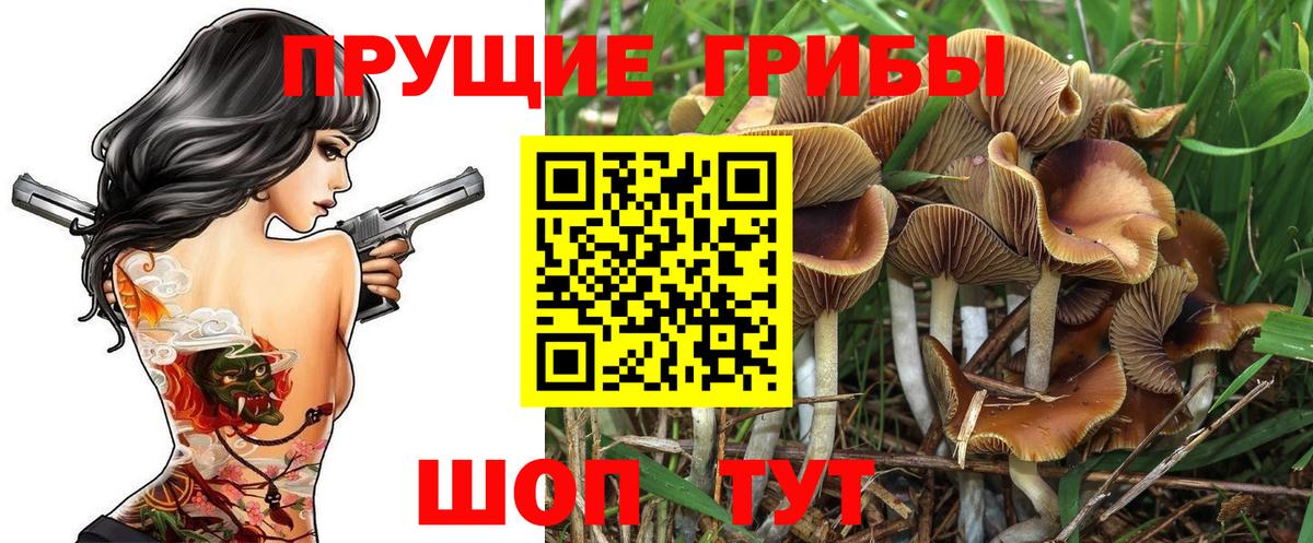Псилоцибиновые грибы MAGIC MUSHROOMS Таганрог